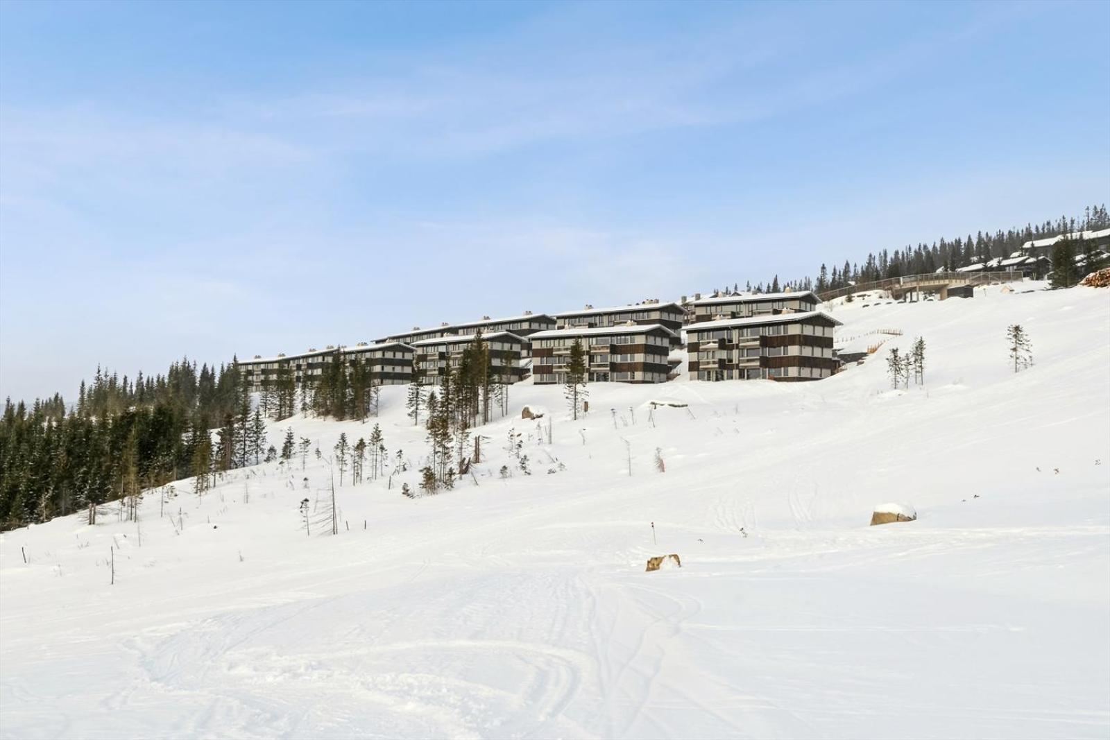 Hafjell Front 8Pers, Ski In/Out. Downhill Bike Eksteriør billede