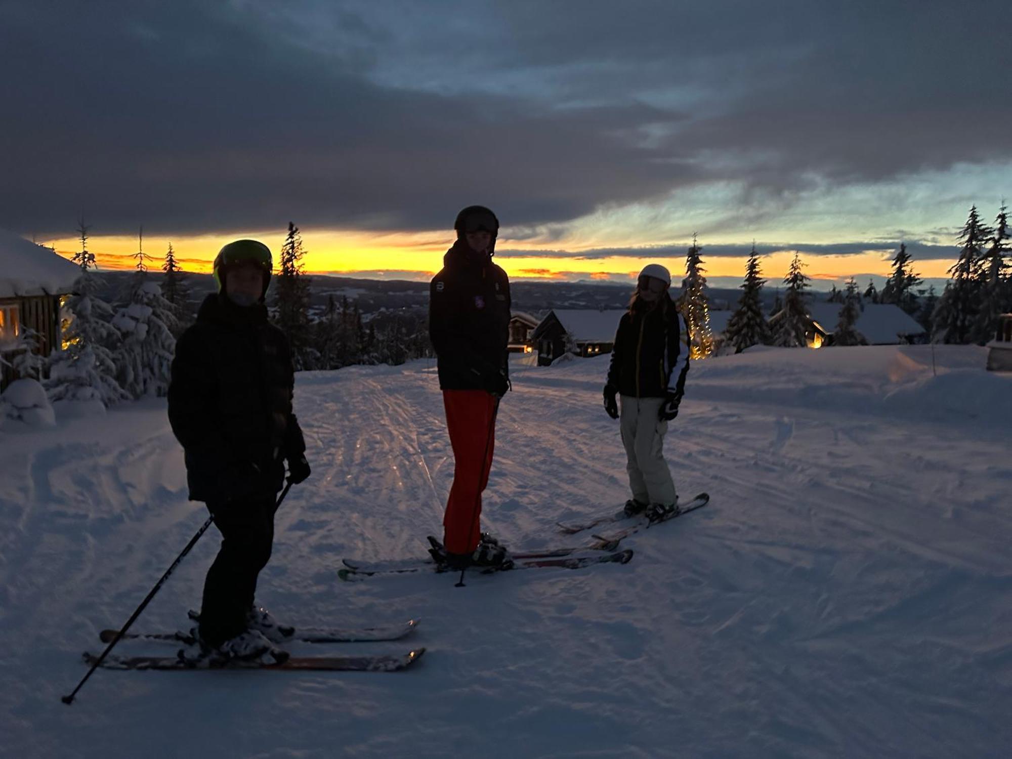 Hafjell Front 8Pers, Ski In/Out. Downhill Bike Eksteriør billede